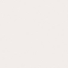 Laminated Panel - New Shell 1S